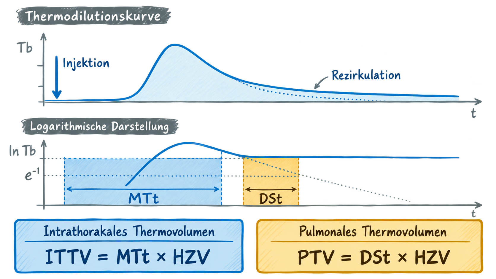 ../../_images/Thermodilution-logarithmisch.png