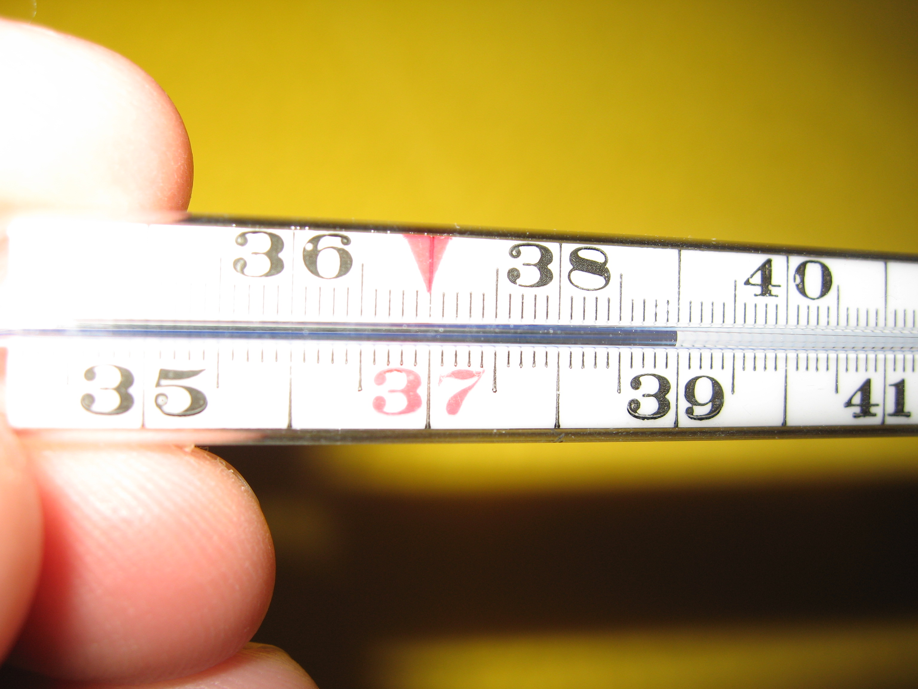 ../../_images/fieberthermometer.jpg
